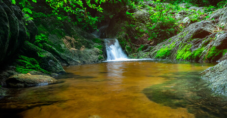 Wall Mural - selective focus green moss on rock surface at small waterfall in jungle. waterfall in tropical fores