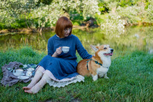Young Woman In Retro Dress With Funny Corgi Dog On The Picnic, Female With Cute Dog Drink English Tea In The Park