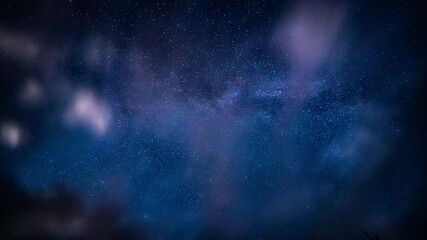 Wall Mural - Timelapse of stars and milkyway over the trees at night.
