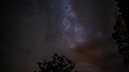 Wall Mural - Timelapse of stars and milkyway over the trees at night.
