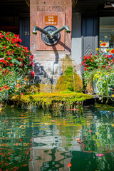 Canvas Print - Dans les rues de Riquewihr