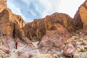 Canvas Print - The woman walking along the canyon