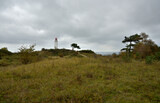Fototapeta Natura - Die Landschaft von Hiddensee mit Leuchtturm