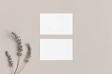 Poster - Two white business cards mockup with lavender. 85x55mm