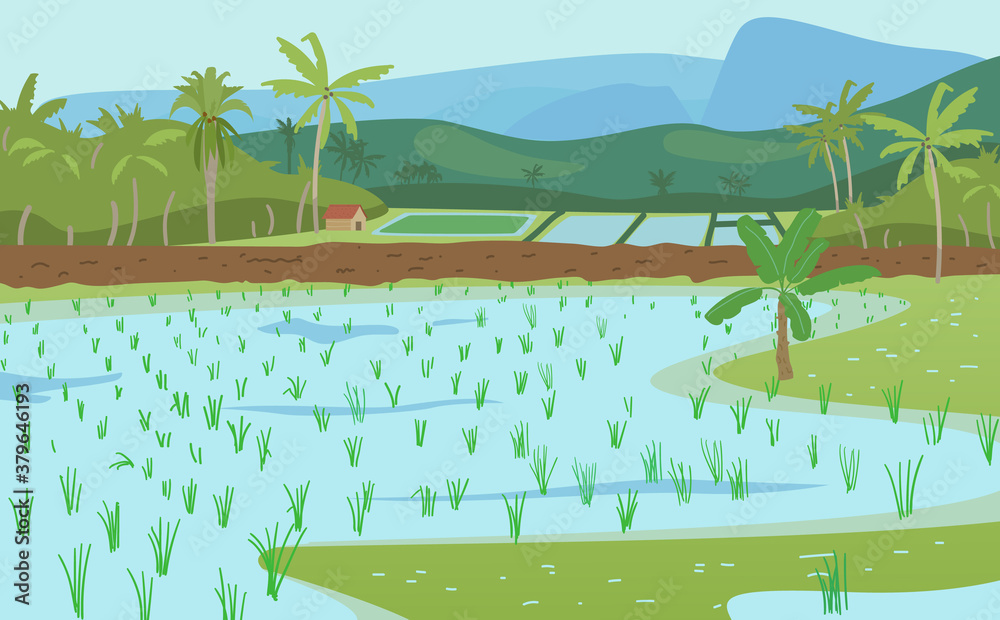 Indian Rice Vector Indian Rice Fields Stock Vector | Adobe Stock