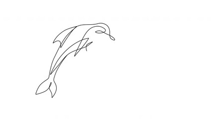 Wall Mural - Self drawing animation of dolphin, Delphinidae. White background. Copy space.
