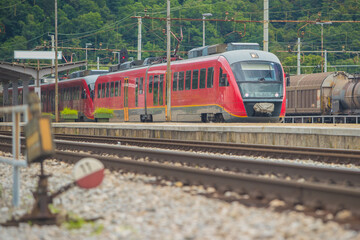 Wall Mural - Modern electrical multiple unit train on track on a suburban station. Commuter train rushing towards the city in a suburban environment on a sunny day.