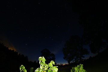 Blue dark night sky with many stars. Night sky over rural landscape. high ISO landscape with fisheye lens