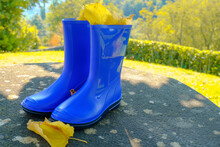 Blue Rubber Boots With Yellow Fallen Leaves Across Autumnal Nature, Trees, Bushes. Fall Concept. Background. Copy Space