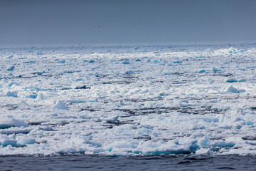 Ice pack in the northern Arctic Circle