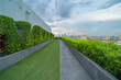 © tampatra - Sky garden on private rooftop of condominium or hotel, high rise architecture building with tree, grass field, and blue sky.