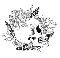 Wall Mural - Skull and roses flowers hand drawn illustration. Sketch illustration. Tattoo vintage print. Skull and roses. T-shirt design.