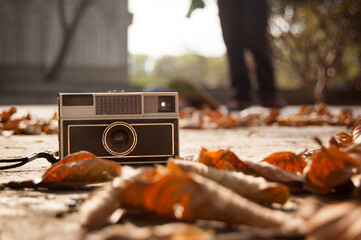 camera on the grass