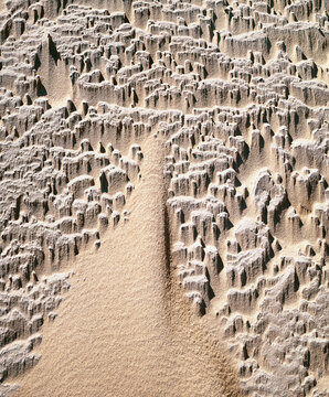 Fototapete - Windstorm Dune