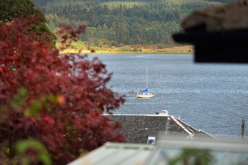 Wall Mural - Panoramic aerial view of the rocky shores, cliffs, woodland and hills of Crinan Canal. Ardrishaig, Argyll and Bute, Scotland, UK. Country house and sailing boat close-up. Travel destinations, tourism