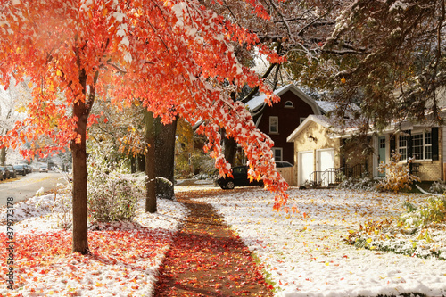 Fotomural Early snow background, climate changing concept