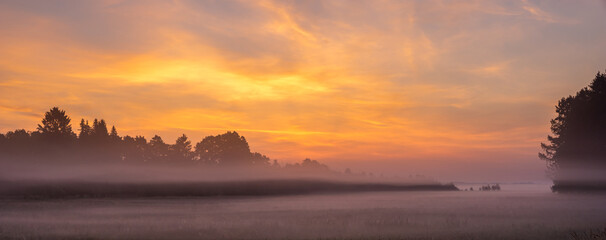 Wall Mural - morning mists sweeping over a forest meadow in the swidwie reserve in poland during a wonderful sunr