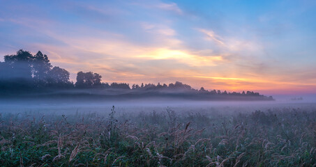 Wall Mural - morning mists sweeping over a forest meadow in the swidwie reserve in poland during a wonderful sunr