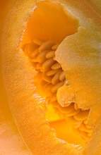 Closeup Of Patterns Created By Membranes And Seeds In An Orange Bell Pepper (Capsicum Annuum)