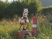 Coin Operated Toy, Rocking Horse, In The Middle Of The Field