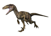 3D Rendering Dinosaur Deinonychus On White