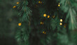 © Laura Stolfi/Stocksy - Warm twinkling lights amongst spruce branches