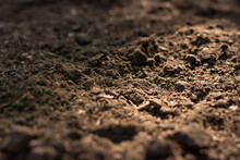 Soil Texture Background, Fertile Soil For Planting.
