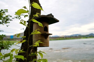 Canvas Print - The wooden bird house near the Kiso river.