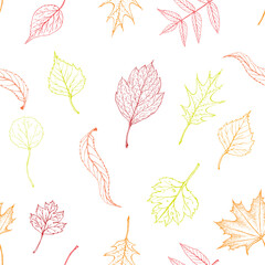 Wall Mural - seamless autumn leaves pattern. hand drawn leaves endless background in fall colors. red, yellow, golden foliage silhouettes sketch. skeletone of maple, birch, hawthorn leaves. Seasonal background