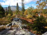 Fototapeta Krajobraz - Fall colors in the mountains