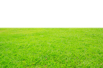 Sticker - fresh green grass lawn isolated on white background