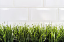 Artificial Green Grass In Black Plastic Pots On A Background Of White Bricks. High-quality Photo