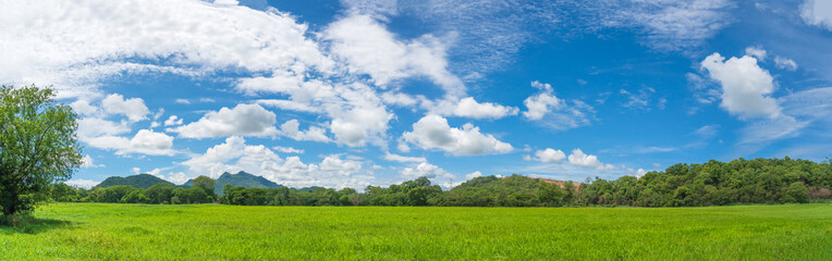 Wall Mural - panoramic landscape view of green grass field agent blue sky