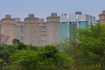 skyline of buildings built in the Jardim Europa neighborhood, framed by the green canopy of trees.