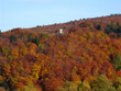 Der Herbst schenkt uns bunte Blätter in Hülle und Fülle. Thüringen, Deutschland, Europa