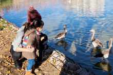 Little Girl Feeding Birds At Lake.