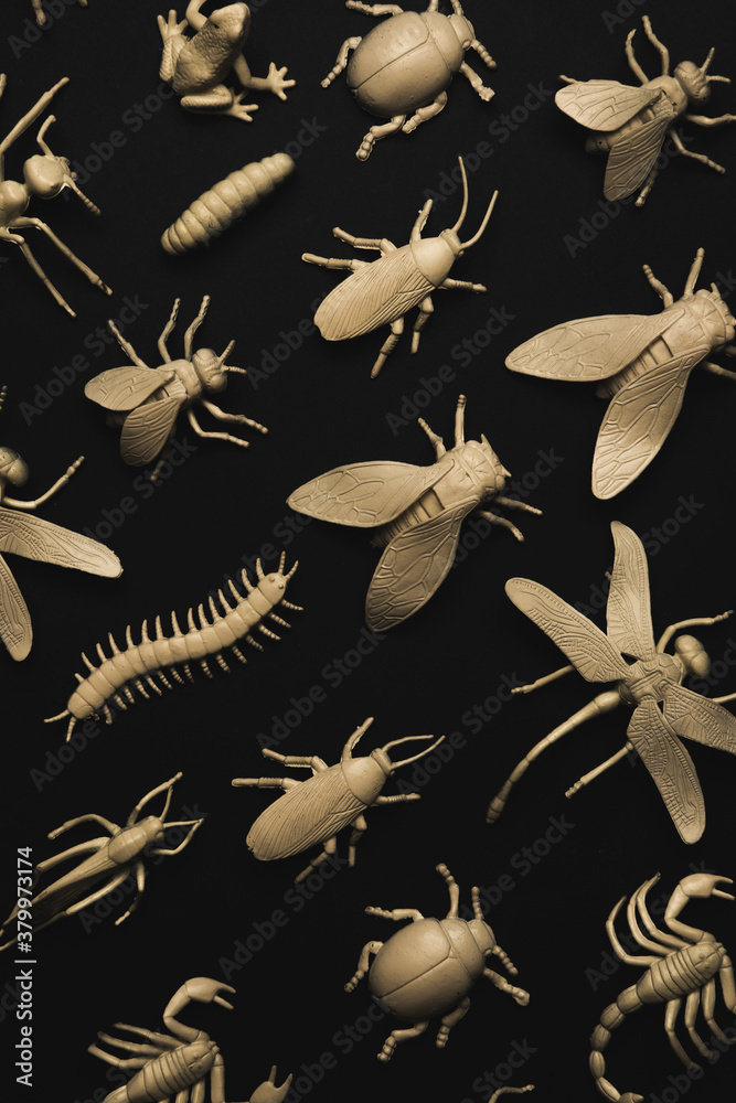 Insectorium/collection of bugs/insects. Stock Photo | Adobe Stock