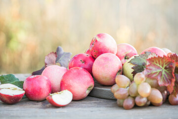 Wall Mural - Healthy organic apples, grapes on wooden table in the garden. Apple harvest