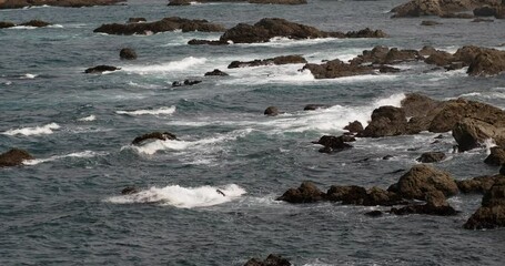 Poster - waves crashing on a rocky coast 