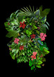Plants background. Perfect quality, details include various plant leaves, flowers and insects.