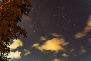 blue dark night sky with many stars trees.phuket thailand. milkyway cosmos background.