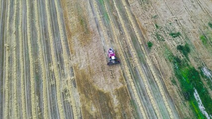 Wall Mural - Harvesting Combine in the field. Aerial bird-eye view.