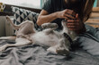 © Dimitrije Tanaskovic/Stocksy - Man and dog having fun