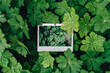 © Pixel Stories/Stocksy - Snippets of Spring