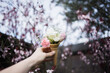 © Kitty Kleyn/Stocksy - Holding an ice cream cone full of flowers