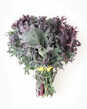 Bundle Of Russian Kale On White Background