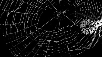 SPIDER MADE OUT OF WORDS WALKING ON HER WEB, BLACK AND WHITE ANIMATION 