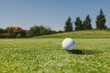 © MyMicrostock/Stocksy - Gol Ball in the Edge of the Hole