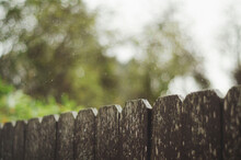 Wooden Fence With Rain Drops