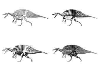 Poster - Set of spinosaurus icons